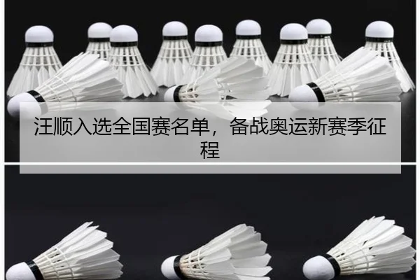 汪顺入选全国赛名单，备战奥运新赛季征程